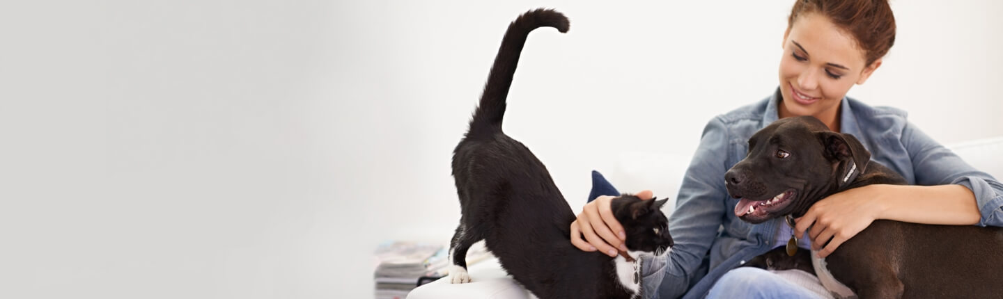 A woman pets her dog and her cat | Healthy Habits For New Pets