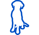 Icon of a dog
