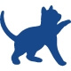 Icon of a cat