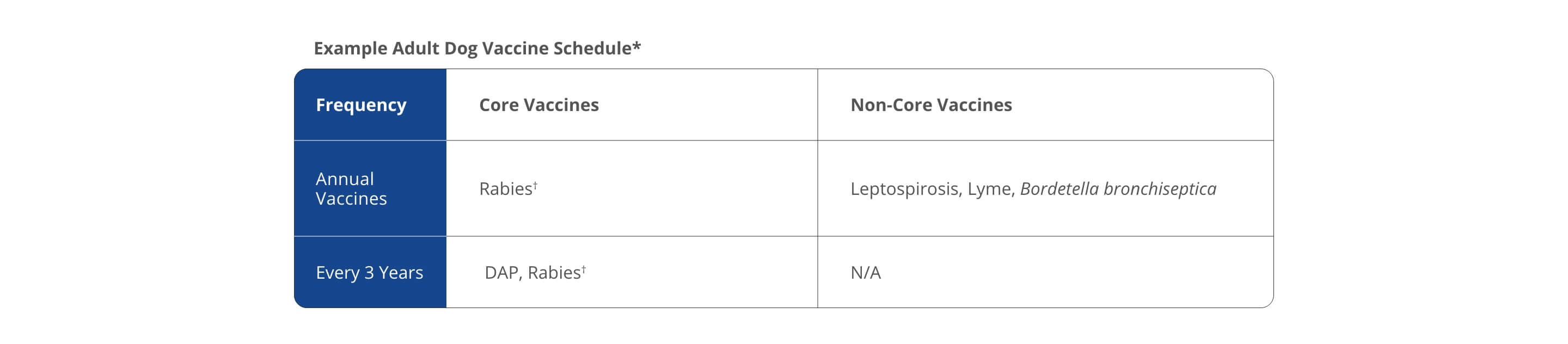 A chart showing an example of a vaccination schedule for Adult Dogs. The chart shows the Annual Vaccines and Rabies, Leptospirosis, Lyme, and Bordetella bronchiseptica. For every 3 years, Adult Dogs also require DAP and Rabies† | Healthy Habits For New Pets