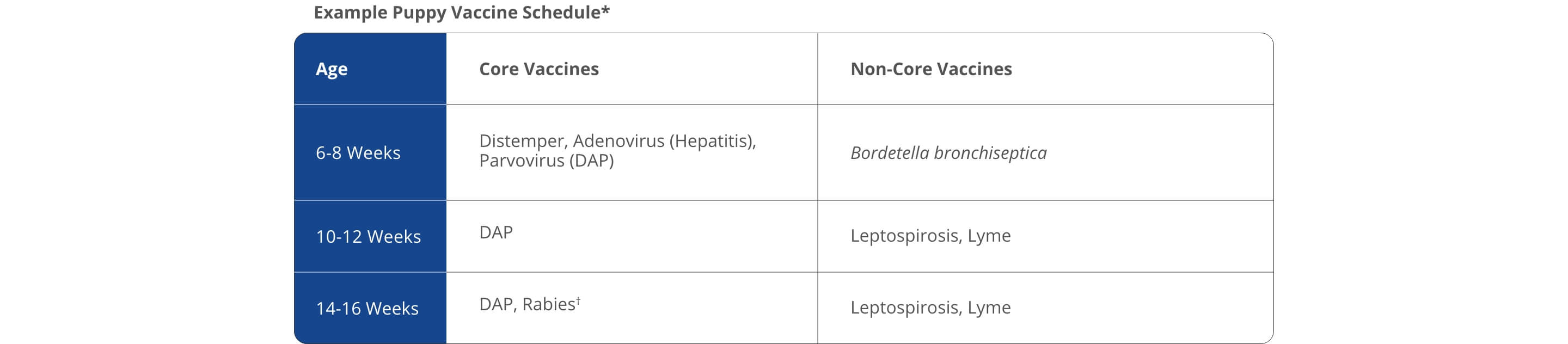 A chart showing an example of a vaccination schedule for puppies. The chart shows that at 6-8 weeks of age, puppies require the Distemper, Adenovirus (Hepatitis), Parvovirus (DAP), and Bordetella vaccines. At 10-12 Weeks, they need DAP, Leptospirosis, and Lyme. At 14-16 Weeks, they need DAP, Rabies†, Leptospirosis, and Lyme. | Healthy Habits For New Pets